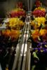 omas blumen